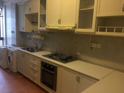 Tanglin Hill Condominium (D10), Condominium #542932521